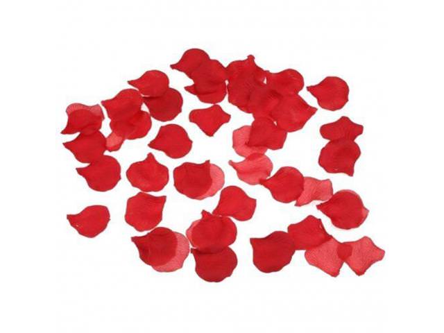 Grab Free Silk Rose Petals!