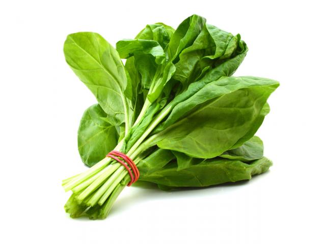 Grab Free Organic Spinach Seeds!