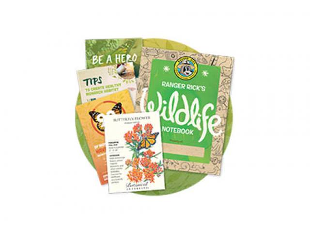 Grab A Free Butterfly Garden Starter Kit!