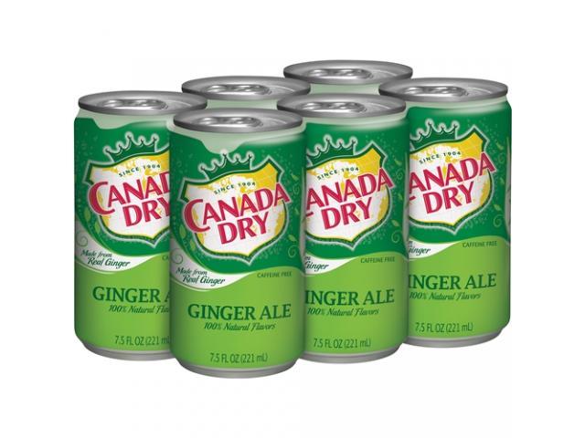 Grab Free $$$ From Canada Dry Class Action Settlement! (no proof needed)