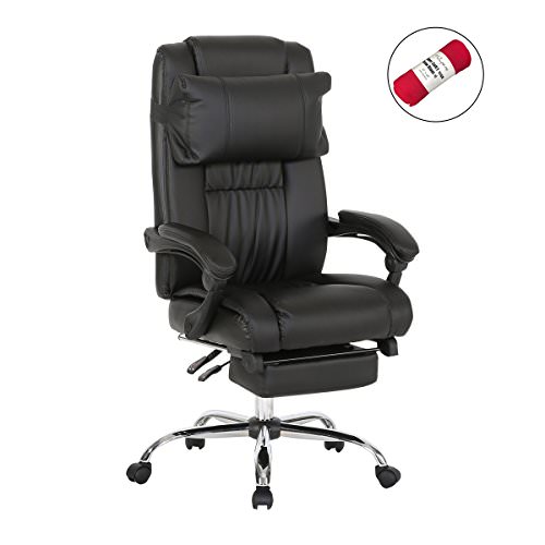 Grab A Free HollyHOME Executive Chair!