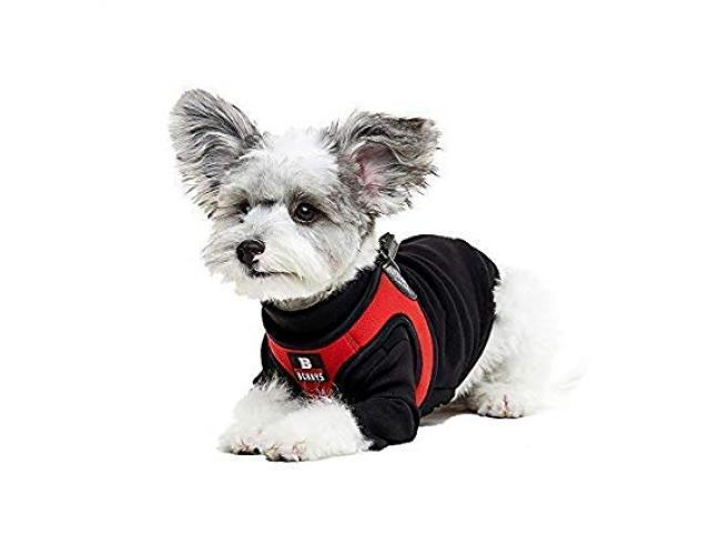 Free Basic Harness!