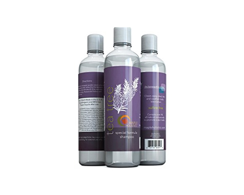 Get A Free Mapleholics Sage Shampoo And  Massage Oil!